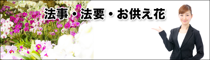 正覚寺の供花・お悔み花 注文　画像